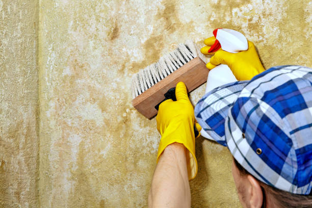Best Indoor Air Quality Assessment  in Bath, MI