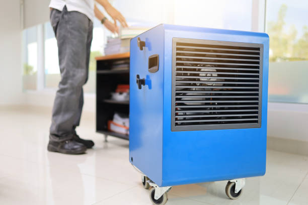 Reliable Bath, MI Mold Removal Solutions
