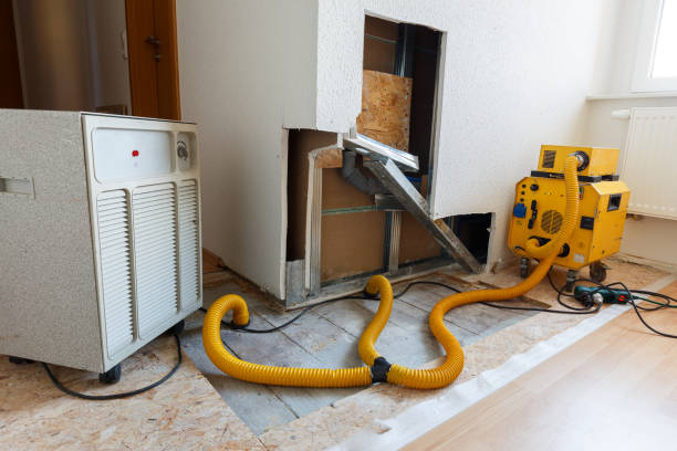 Best Dehumidification Services  in Bath, MI