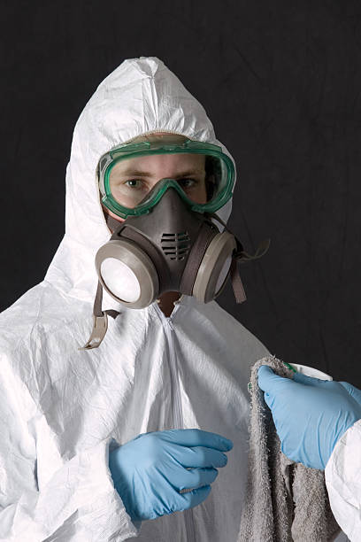Mold Remediation for Vacation Homes in Bath, MI